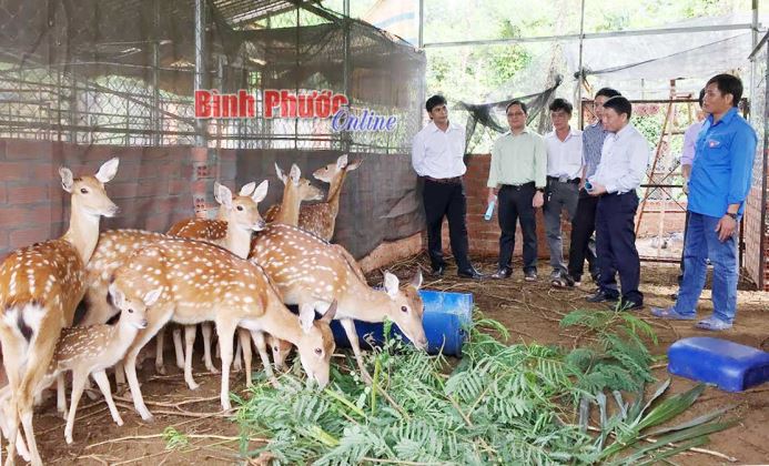 Hiệu ứng truyền thông với nông nghiệp sạch