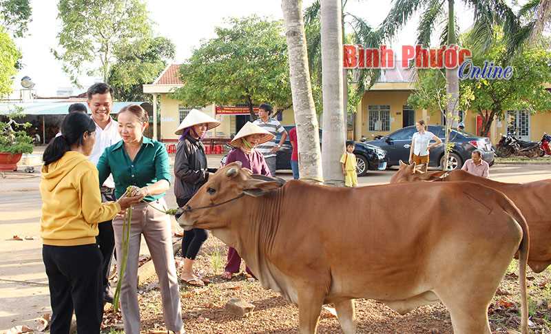 Trao 60 bò giống cho nông dân huyện Phú Riềng Trao 60 bò giống cho nông dân huyện Phú Riềng