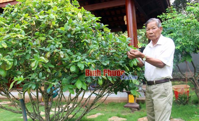 Lời kể của người trong cuộc Lời kể của người trong cuộc
