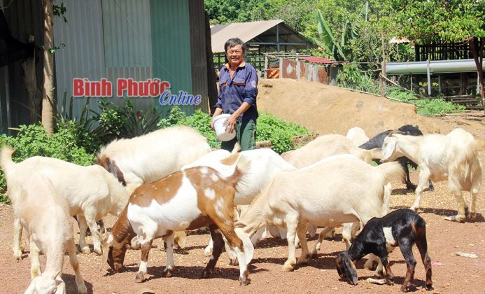 Lan tỏa phong trào thi đua yêu nước Lan tỏa phong trào thi đua yêu nước