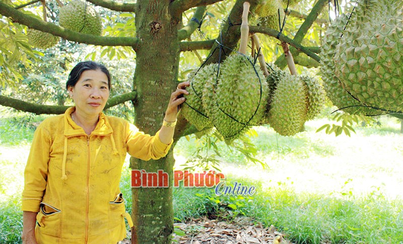 Khi nhà nông dám nghĩ, dám làm Khi nhà nông dám nghĩ, dám làm