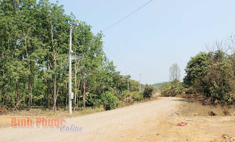 80 hộ ở Tiểu khu 134, thôn Hai Căn đã có điện lưới quốc gia 80 hộ ở Tiểu khu 134, thôn Hai Căn đã có điện lưới quốc gia
