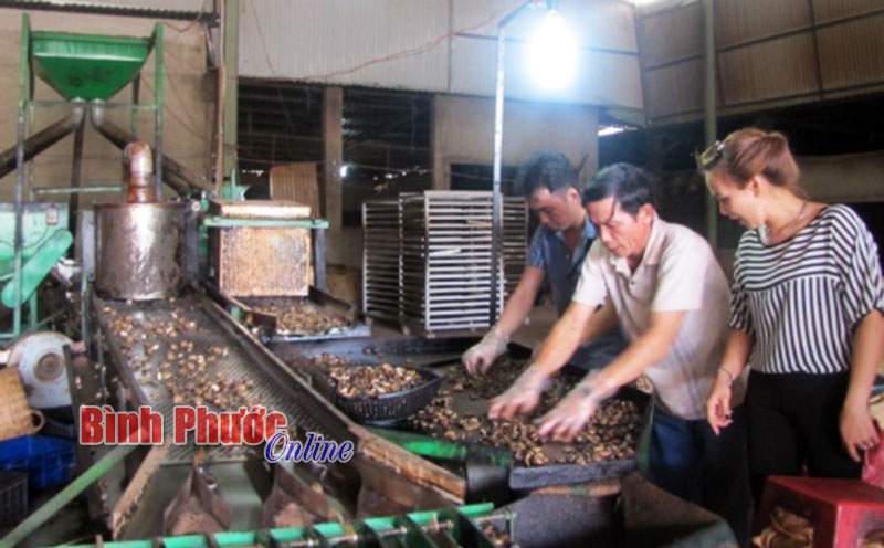 Điện lực Phước Long: Đảm bảo cung cấp điện trong mùa khô 2015 Điện lực Phước Long: Đảm bảo cung cấp điện trong mùa khô 2015