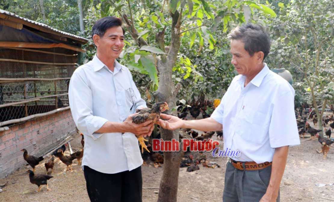 Nông dân Đồng Nơ chung sức phát triển kinh tế Nông dân Đồng Nơ chung sức phát triển kinh tế