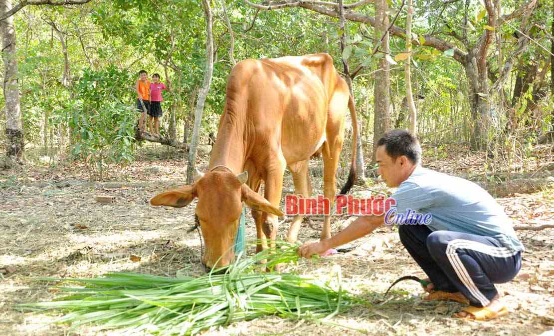 Đồng Phú phát huy hiệu quả nguồn Quỹ “Vì người nghèo” Đồng Phú phát huy hiệu quả nguồn Quỹ “Vì người nghèo”
