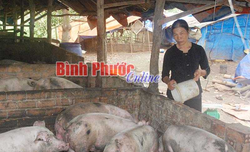 Phụ nữ Đồng Phú làm theo gương Bác Phụ nữ Đồng Phú làm theo gương Bác