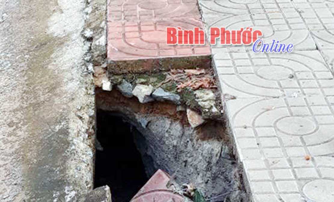 Bẫy bên lề đường Bẫy bên lề đường
