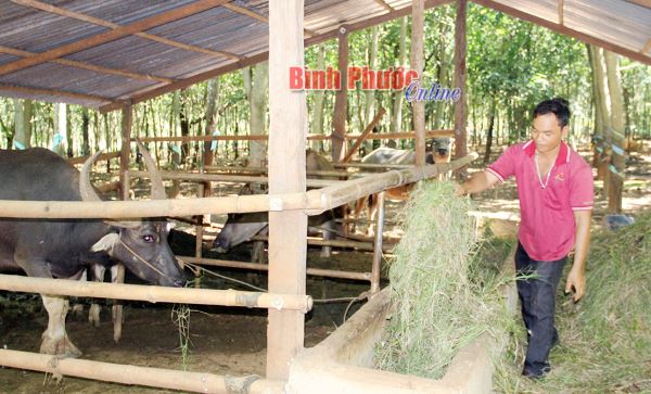 Chú trọng phát triển đảng viên DTTS ở vùng biên Chú trọng phát triển đảng viên DTTS ở vùng biên