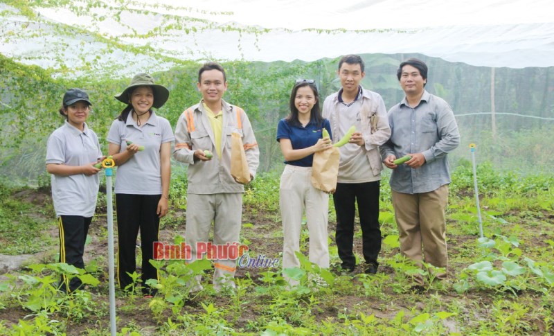 Khi người trẻ nghĩ về nông nghiệp hữu cơ Khi người trẻ nghĩ về nông nghiệp hữu cơ