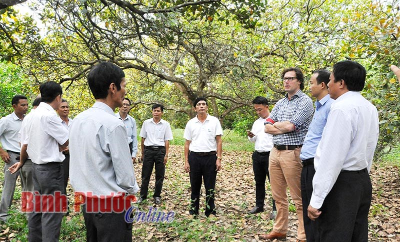Phát triển bền vững, HTX cần tiềm lực mạnh Phát triển bền vững, HTX cần tiềm lực mạnh
