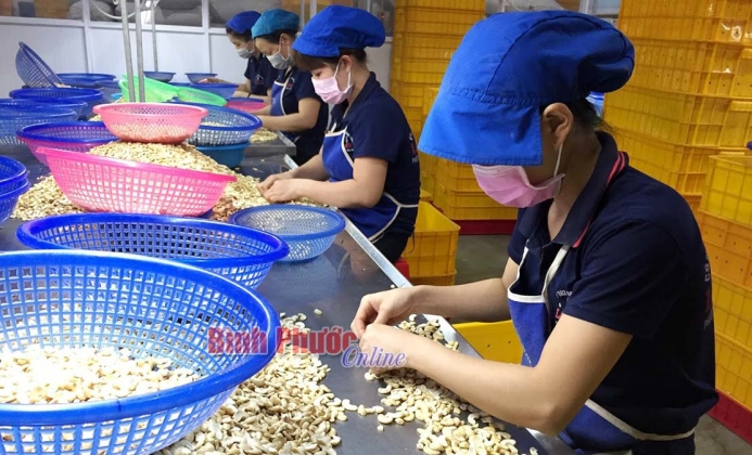 Đưa khoa học và công nghệ vào cuộc sống Đưa khoa học và công nghệ vào cuộc sống