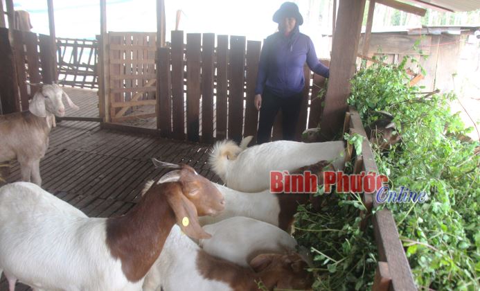 Động lực phát triển kinh tế vùng biên Động lực phát triển kinh tế vùng biên