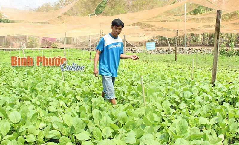 Qua Bình Long học “dân vận khéo” Qua Bình Long học “dân vận khéo”