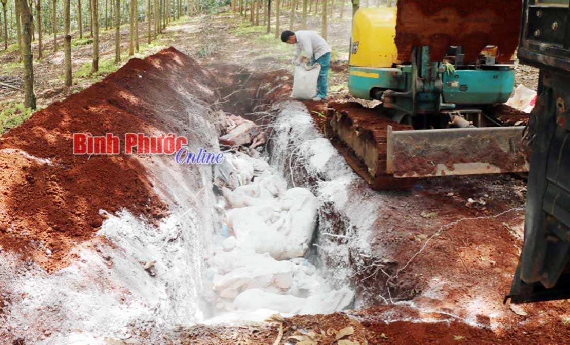 Tiêu hủy hơn 1.600kg thịt nhiễm bệnh dịch tả heo châu Phi Tiêu hủy hơn 1.600kg thịt nhiễm bệnh dịch tả heo châu Phi