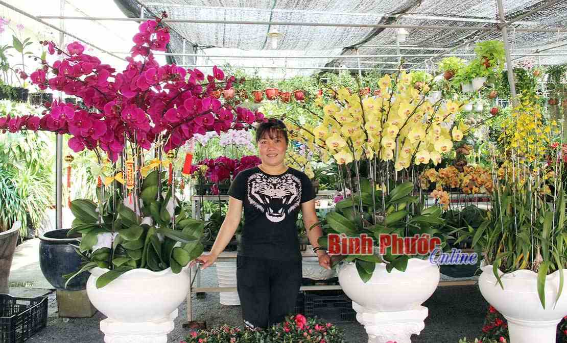 Mùa hoa khoe sắc