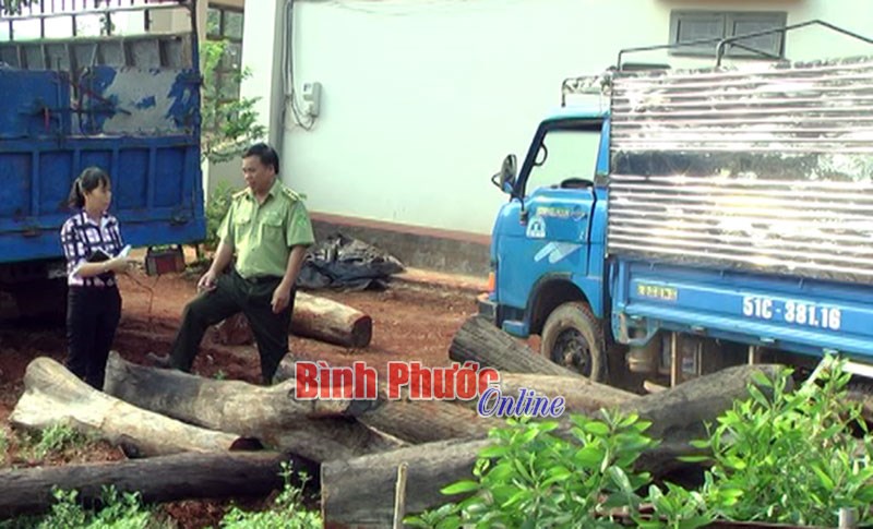 Lộc Ninh quyết tâm giữ “lá phổi xanh” Lộc Ninh quyết tâm giữ “lá phổi xanh”
