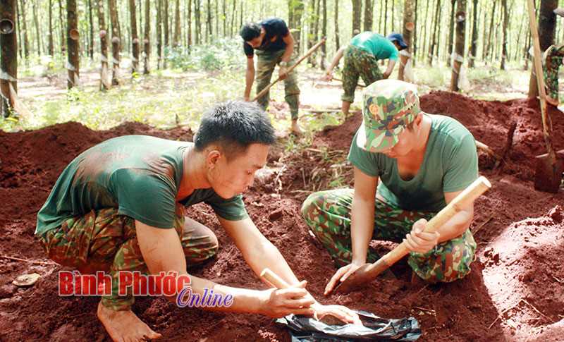 Tìm thấy hài cốt nghi là liệt sĩ trong vườn cao su Tìm thấy hài cốt nghi là liệt sĩ trong vườn cao su