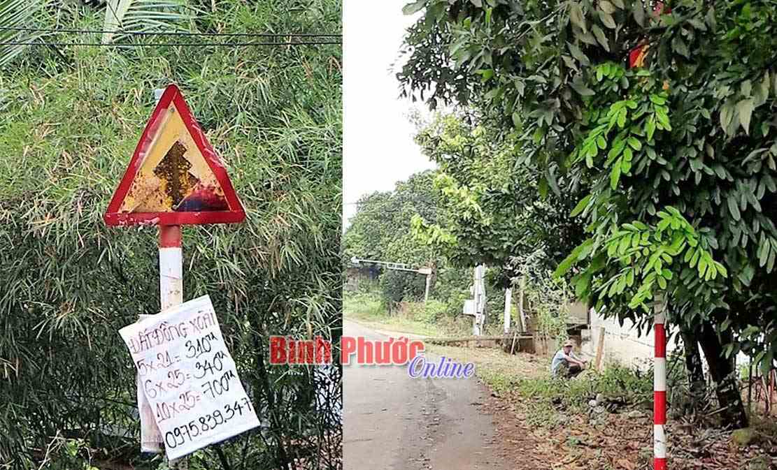 Biển báo phản cảm Biển báo phản cảm