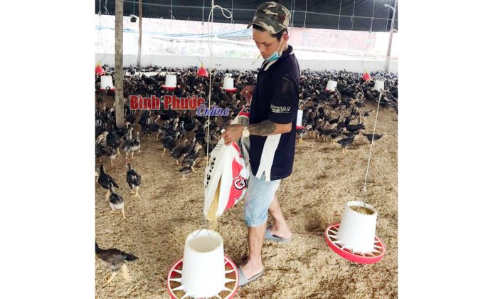 Hướng đi bền vững cho nông nghiệp Lộc Ninh Hướng đi bền vững cho nông nghiệp Lộc Ninh