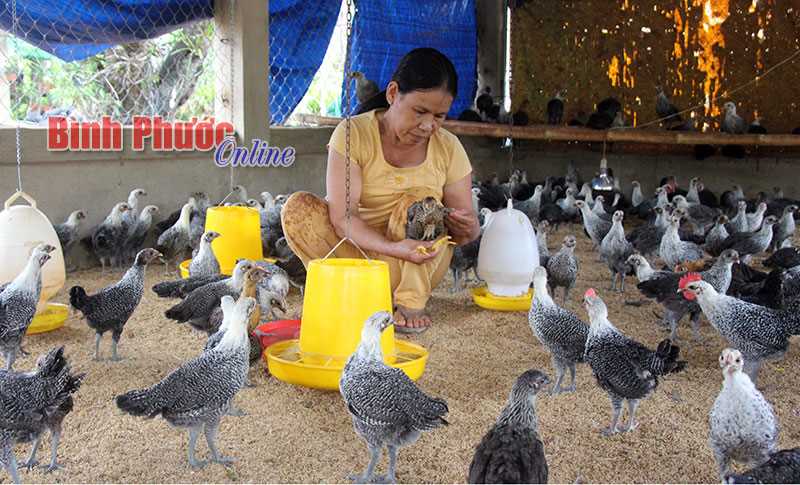 Không chỉ là nghị lực Không chỉ là nghị lực
