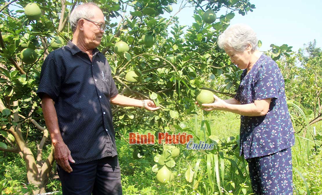 Lan tỏa tinh thần nông thôn mới