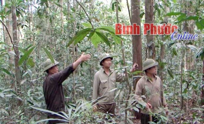 Bù Đăng tăng cường bảo vệ rừng trong mùa khô