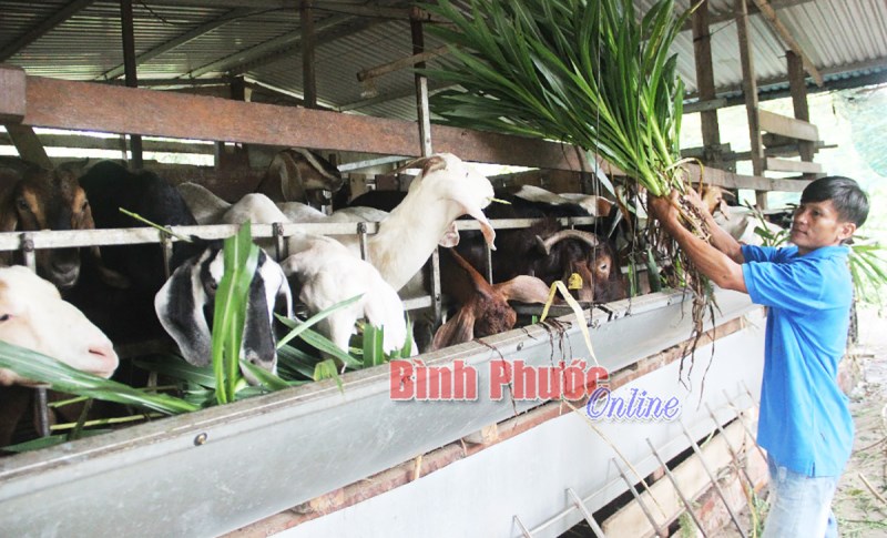 Xây dựng thương hiệu để phát triển bền vững