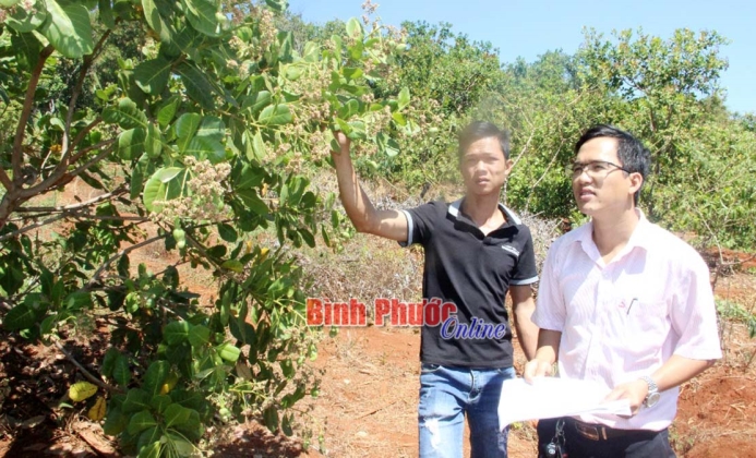 Tín dụng chính sách tiếp sức hộ nghèo Tín dụng chính sách tiếp sức hộ nghèo