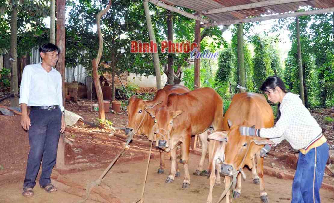 Nối dài vòng tay nhân ái
