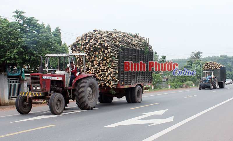 “Thản nhiên” lưu thông trên quốc lộ “Thản nhiên” lưu thông trên quốc lộ