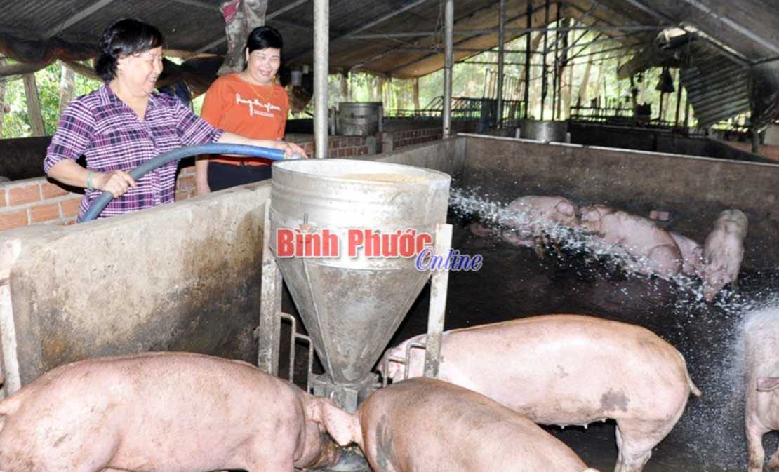 “5 không, 3 sạch” theo cách riêng của phụ nữ Tân Quan “5 không, 3 sạch” theo cách riêng của phụ nữ Tân Quan
