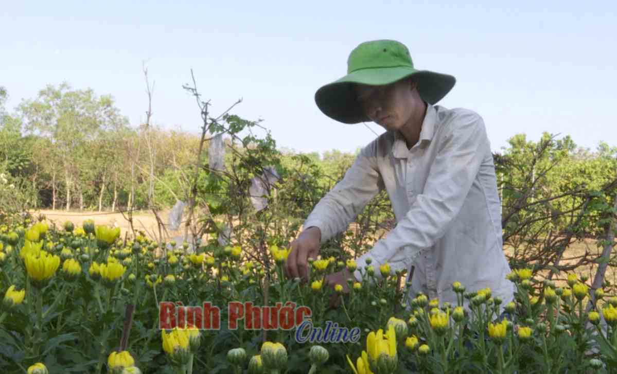 Góp hương sắc cho đời Góp hương sắc cho đời