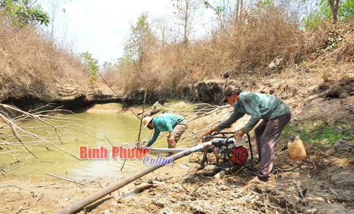 Quay quắt vì nắng hạn Quay quắt vì nắng hạn
