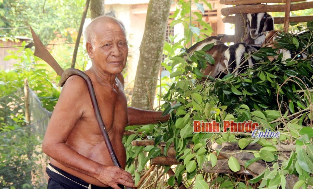 Già làng Điểu Nắng -​​​​​​​ Cổ thụ vùng biên