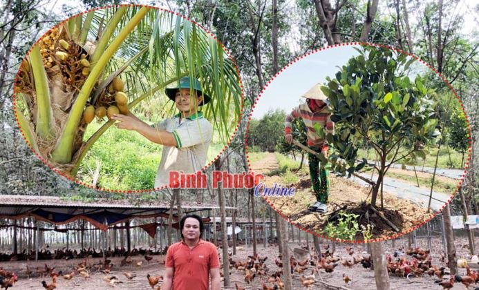 Những nhà nông không nghỉ