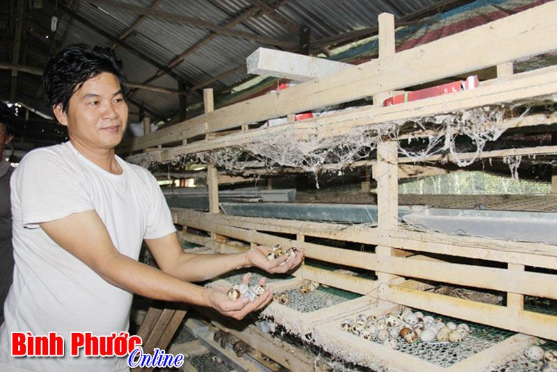 Nâng cao đời sống hội viên từ Quỹ hỗ trợ nông dân Nâng cao đời sống hội viên từ Quỹ hỗ trợ nông dân