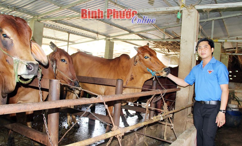 Khởi nghiệp từ nông nghiệp sạch Khởi nghiệp từ nông nghiệp sạch