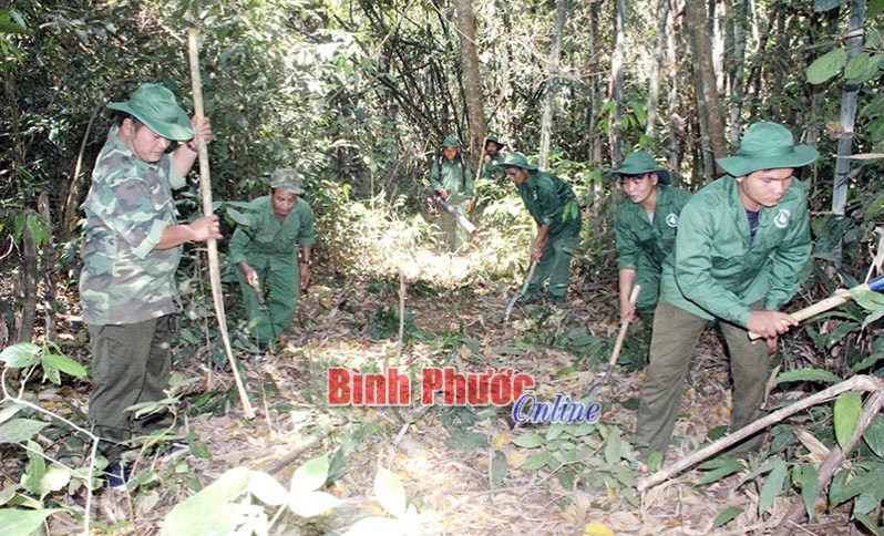 Thêm xanh Vườn quốc gia Bù Gia Mập - Bài cuối Thêm xanh Vườn quốc gia Bù Gia Mập - Bài cuối