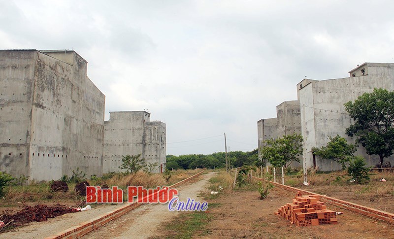 Nở rộ nghề “hái lộc trời” - Bài cuối