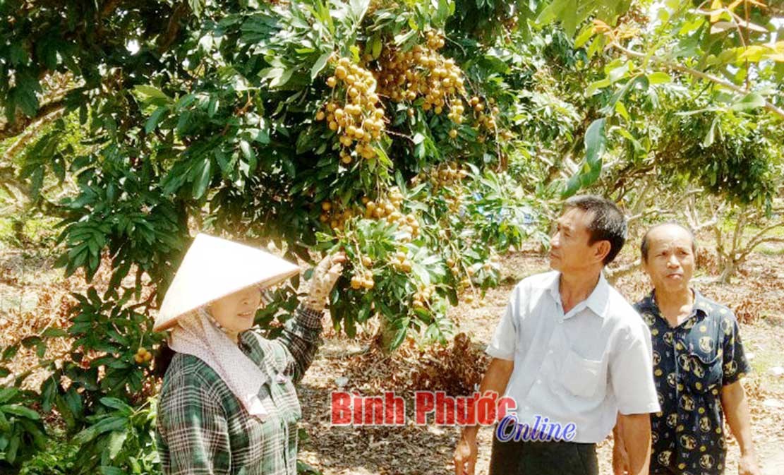 2.000 hộ dân xã Tân Hiệp “khát” sổ đỏ 2.000 hộ dân xã Tân Hiệp “khát” sổ đỏ