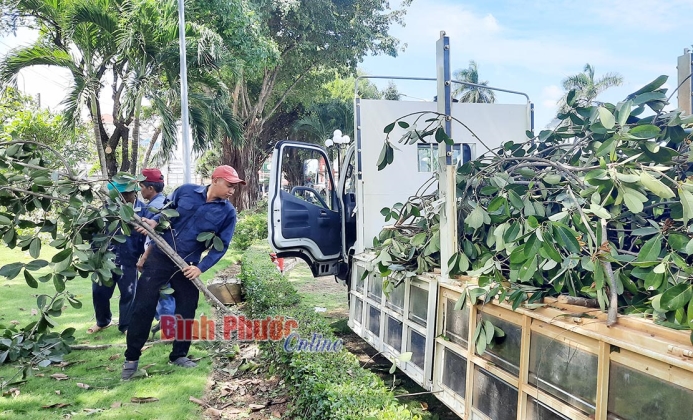 Sẵn sàng cho Đại hội Đảng bộ thành phố Đồng Xoài lần V Sẵn sàng cho Đại hội Đảng bộ thành phố Đồng Xoài lần V