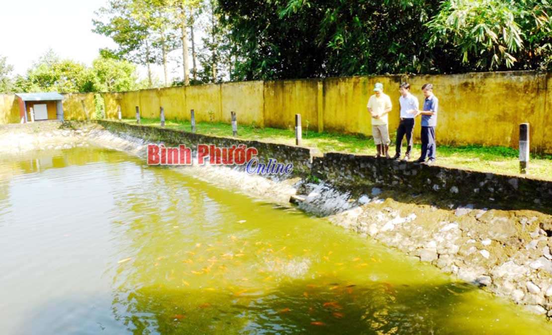 Để sáng tạo khoa học, công nghệ đi vào cuộc sống - Bài cuối