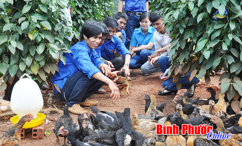 Lá cờ đầu phong trào thanh niên ở Bù Đăng Lá cờ đầu phong trào thanh niên ở Bù Đăng