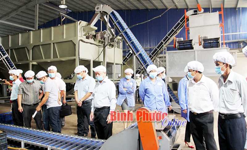 Thành công nhờ đầu tư đúng hướng Thành công nhờ đầu tư đúng hướng