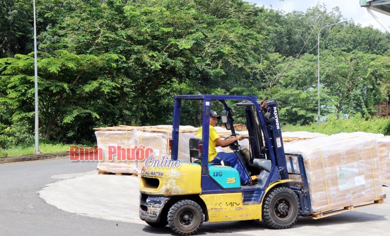 Xuất - nhập khẩu tăng trưởng ấn tượng
