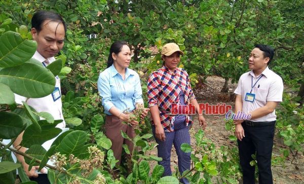 Giảm nghèo bền vững nhờ vốn chính sách xã hội Giảm nghèo bền vững nhờ vốn chính sách xã hội