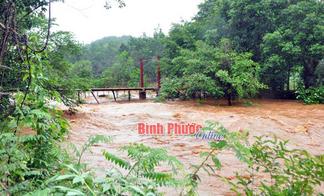 Bù Gia Mập, Bù Đăng: Mưa lớn gây ngập lụt diện rộng Bù Gia Mập, Bù Đăng: Mưa lớn gây ngập lụt diện rộng