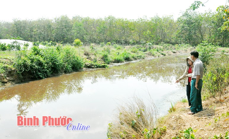 Trang trại nuôi heo gây ô nhiễm môi trường?