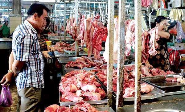 Giá heo hơi tăng trở lại Giá heo hơi tăng trở lại
