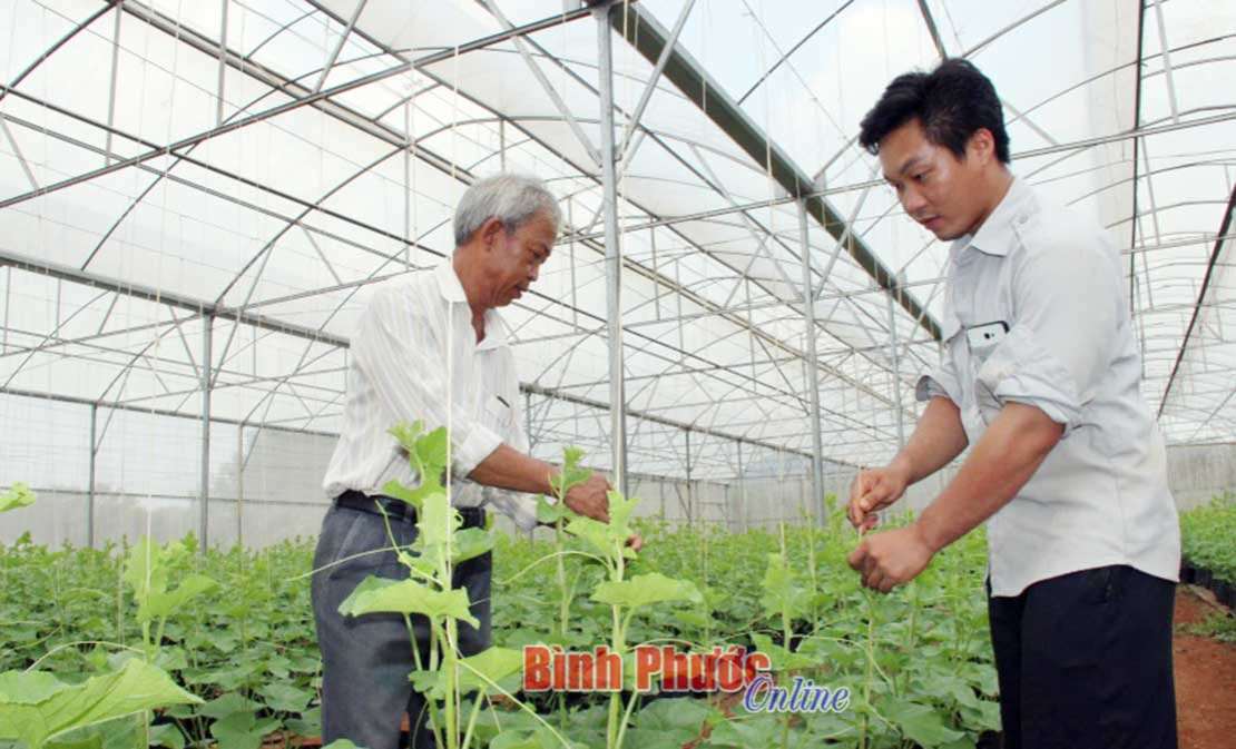 Nông thôn mới làm nên những mùa xuân Nông thôn mới làm nên những mùa xuân